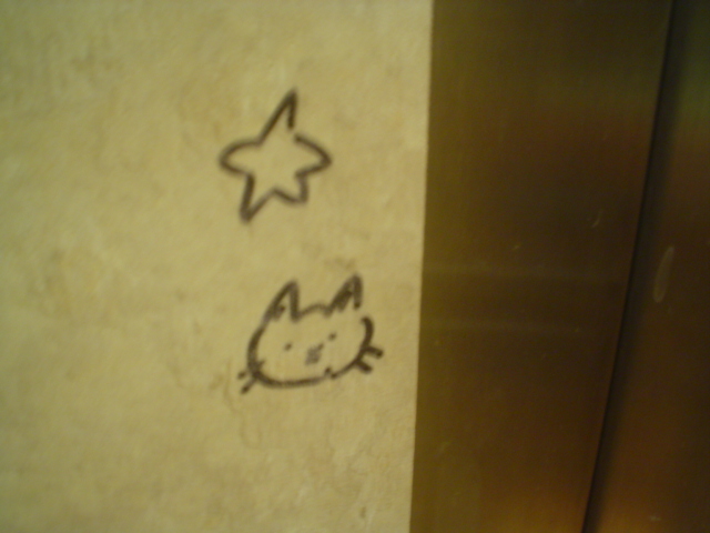 A Lovely Found art of a cat and a star
