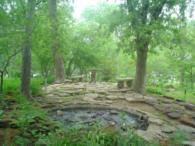 A Photograph of a little woodland scene
